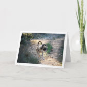 Hunde laufen und springen karte (Vorderseite)