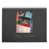 Hunde leben hier kalender (Titelbild)