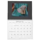 Hunde leben hier - Kalender 2012 (Feb 2027)
