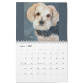 Hunde Leben! - Kalender 2025 (Mär 2027)