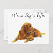 Hunde Leben Niedlich Golden Retriever Wasserfarbe  Postkarte (Vorne/Hinten)