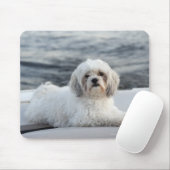 Hunde legen am Wasser Mousepad (Mit Mouse)