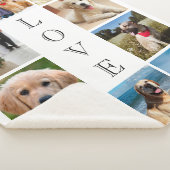 Hunde Liebe 10 FotoCollage Sherpadecke (3/4)
