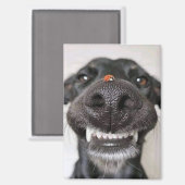 Hunde Liebe... Magnet (Vorderseite/Rückseite)