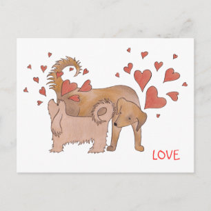 Hunde-Liebe Postkarte