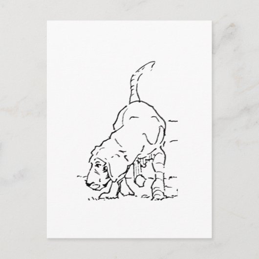 Hunde-Liebhaber-Erinnerung, Beagle-Illustration Postkarte (Vorderseite)