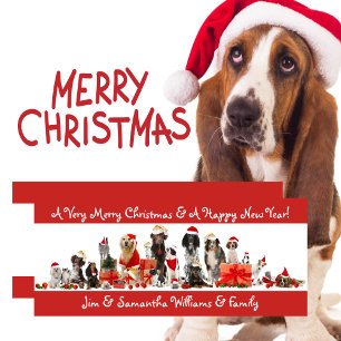 Hunde-Liebhaber Frohe Weihnachtskarte Feiertagskarte