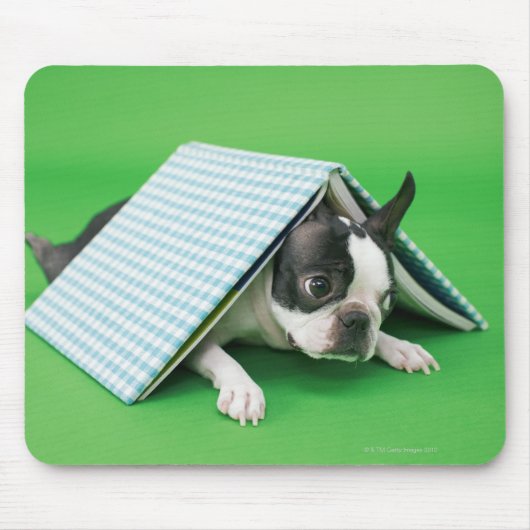 Hunde liegen unter dem Buch Mousepad (Vorne)