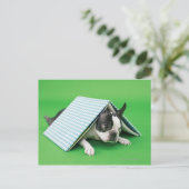 Hunde liegen unter dem Buch Postkarte (Stehend Vorderseite)