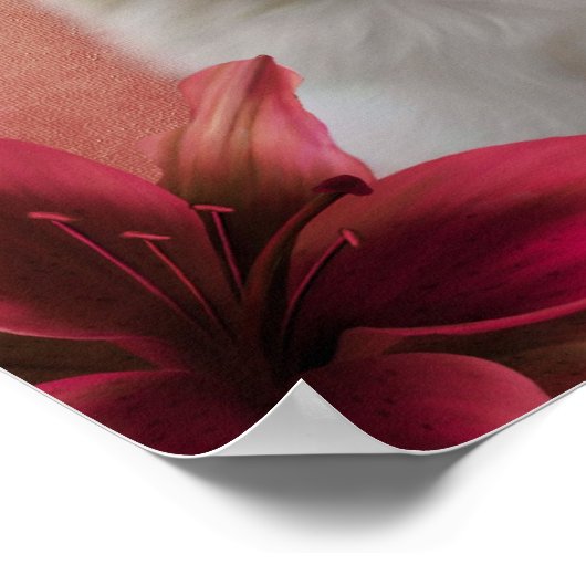 Hunde-Lily-Blume Weiße Spitz Poster (Ecke)