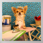 Hunde machen Eisen Poster (Vorne)