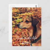 HUNDE MACHEN LEBEN BESSER Postkarte für Hunde Lieb (Vorne/Hinten)