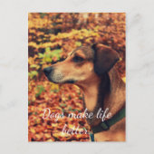 HUNDE MACHEN LEBEN BESSER Postkarte für Hunde Lieb (Vorderseite)