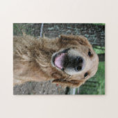 Hunde Mama Vater Puppy Lover Custom Foto Personali Puzzle (Horizontal)