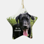 Hunde mein erstes Weihnachts-Foto Ornamente (Rechts)