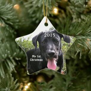 Hunde mein erstes Weihnachts-Foto Ornamente