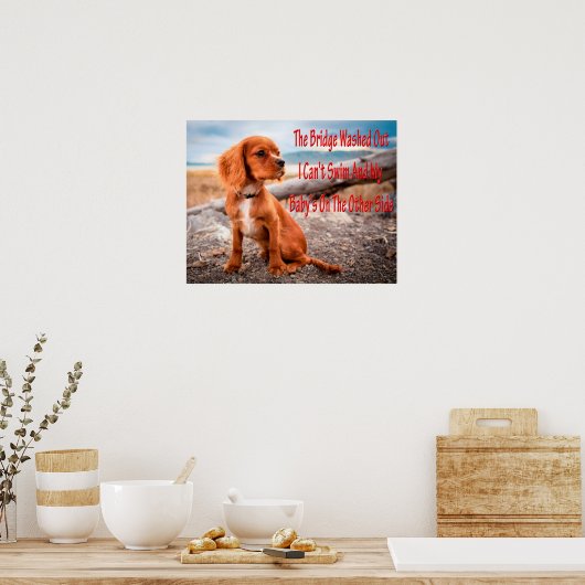 Hunde Meme Hunde Meme Humorere Fotos Poster (Küche)