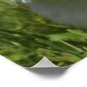 Hunde Meme Hunde Meme Humorere Fotos Poster (Ecke)