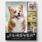 Hunde-Memorial 4 Foto-KÜHLFÜHRER IN UNSEREN HERZEN Fotoplatte (Vorderseite)