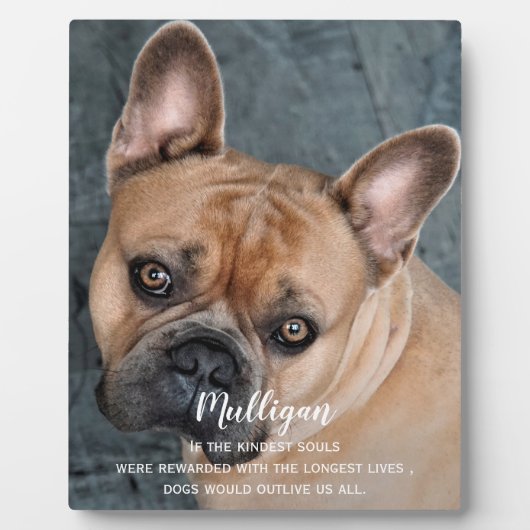 Hunde-Memorial-Geschenk - Pet Loss Keepake -Hund-B Fotoplatte (Vorderseite)