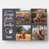 Hunde-Memorial Keepake Beileid Pet Loss Fotoplatte (Vorderseite)