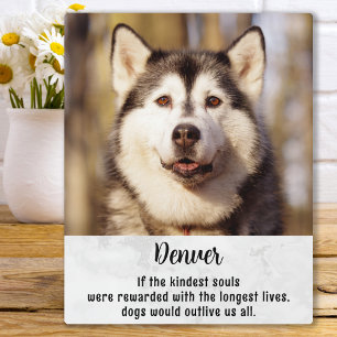 Hunde-Memorial Personalisiertes Foto Pet Loss Beil Fotoplatte