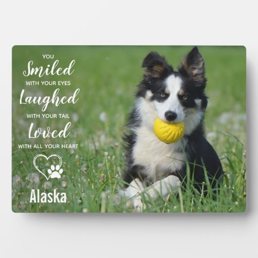 Hunde-Memorial Pet Loss-Geschenk - Beileid für Hau Fotoplatte (Vorderseite)