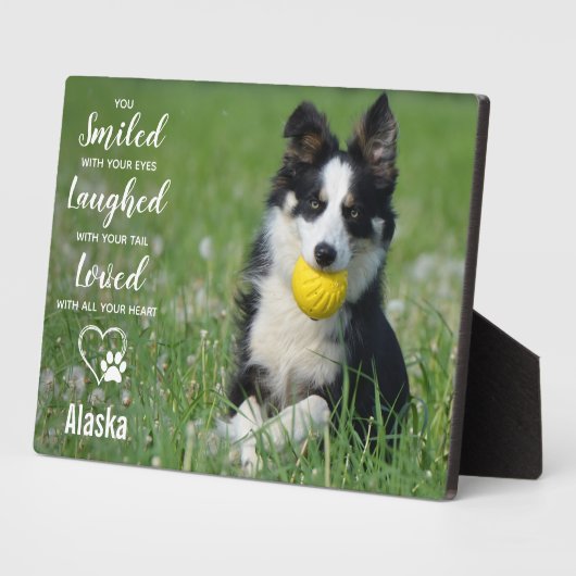Hunde-Memorial Pet Loss-Geschenk - Beileid für Hau Fotoplatte (Seite)