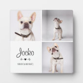 Hunde-Memorial Pet Loss Keepake Foto Collage Fotoplatte (Vorderseite)