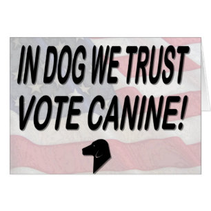Hunde mit amerikanischer Flagge abstimmen