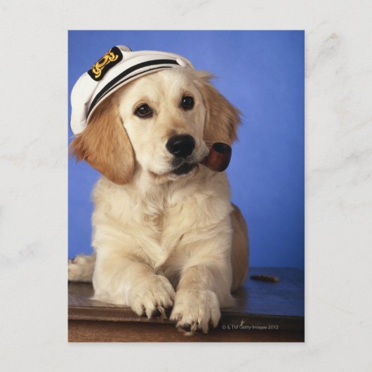 Hunde mit Deckel, Rauchrohr halten Postkarte (Vorderseite)
