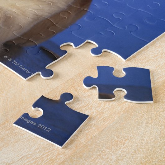 Hunde mit Deckel, Rauchrohr halten Puzzle (Seite)