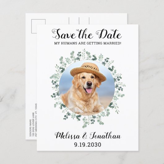 Hunde mit Eukalyptus-Hochzeit Save the Date (Vorne/Hinten)