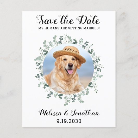 Hunde mit Eukalyptus-Hochzeit Save the Date (Vorderseite)