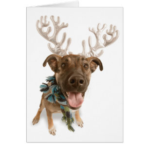 Hunde mit Geweih