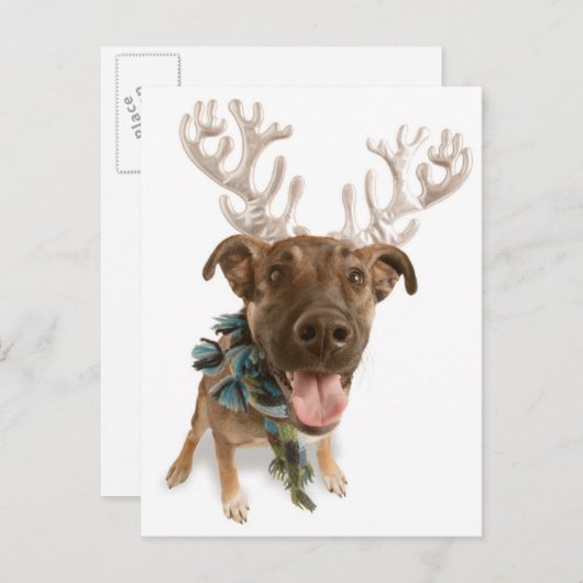 Hunde mit Geweih Postkarte (Vorne/Hinten)