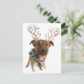 Hunde mit Geweih Postkarte (Stehend Vorderseite)
