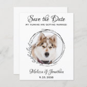 Hunde mit Hochzeitssehen speichern die Datumskarte (Vorne/Hinten)