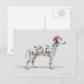 Hunde mit Hut Postkarte (Vorne/Hinten)