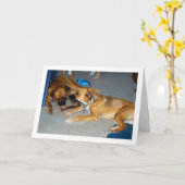 Hunde mit Knochen Karte (Gelbe Blume)