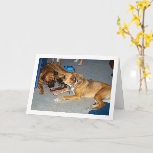 Hunde mit Knochen Karte (Gelbe Blume)