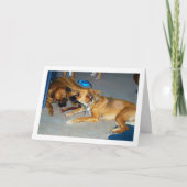 Hunde mit Knochen Karte (Vorderseite)