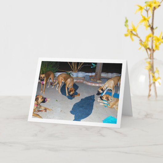 Hunde mit Knochen und Handtücher Karte (Gelbe Blume)