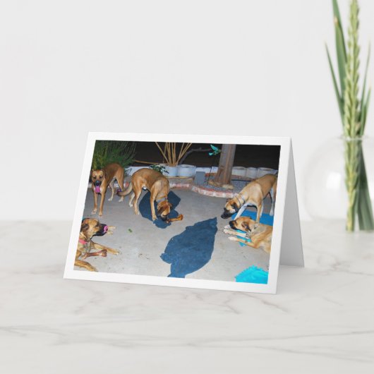 Hunde mit Knochen und Handtücher Karte (Vorderseite)