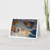 Hunde mit Knochen und Handtücher Karte (Vorderseite)