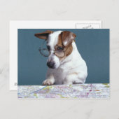 Hunde mit Lesebrille, die Karte studiert (Vorne/Hinten)