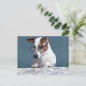 Hunde mit Lesebrille, die Karte studiert (Stehend Vorderseite)
