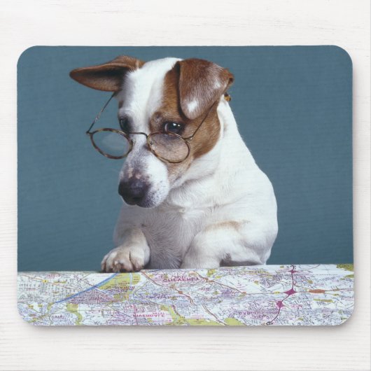 Hunde mit Lesebrille, die Karte studiert Mousepad (Vorne)