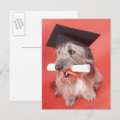 Hunde mit Mörtel und Diplom Postkarte (Vorne/Hinten)