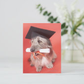 Hunde mit Mörtel und Diplom Postkarte (Stehend Vorderseite)